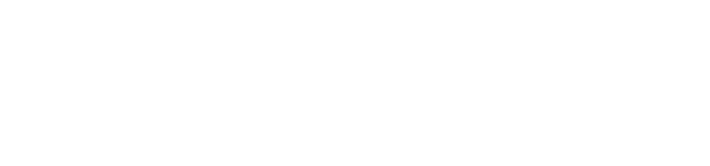 North Central College logo